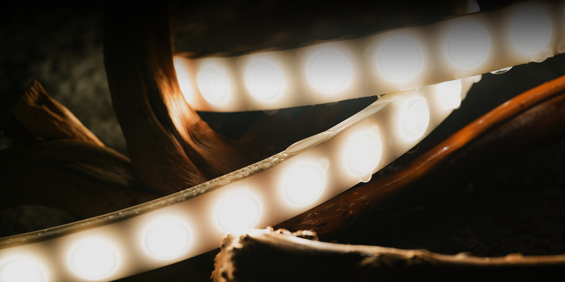 Human Centric Lighting
