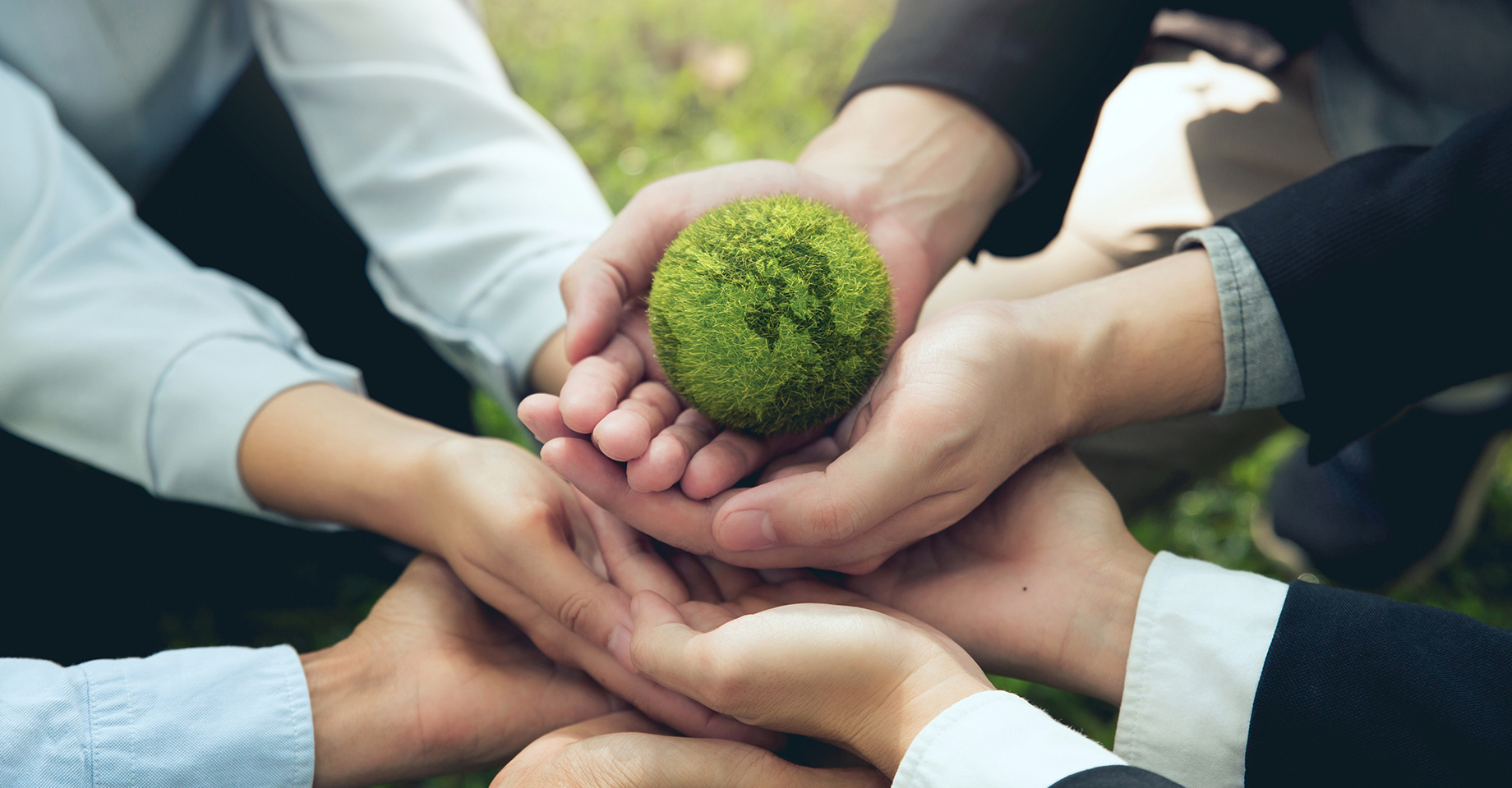 Sustainable Development